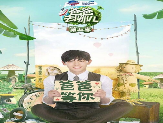 ְȥĶ5ȡ2017겥ƻ ְȥĨ5ͣԭع