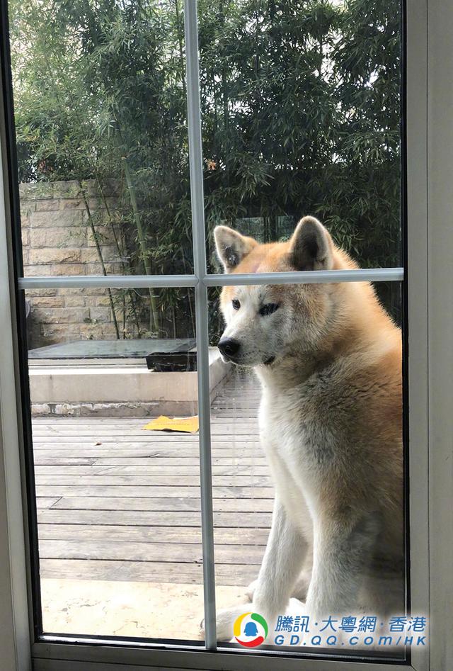 Ů ڼ⴮̳