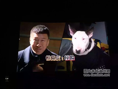 빷ײ